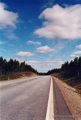 35.jpg  35